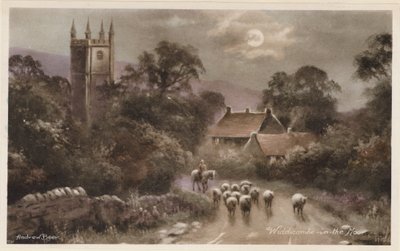 Dartmoor: Widdicombe-in-the-Moor by Andrew Beer