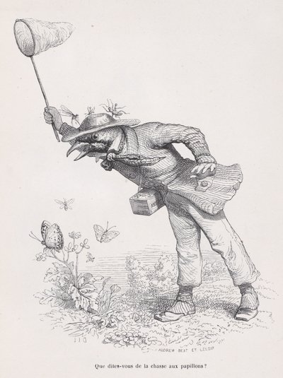 What Do You Say About the Butterfly Hunt from Scenes from the Private and Public Life by Andrew Best Leloir