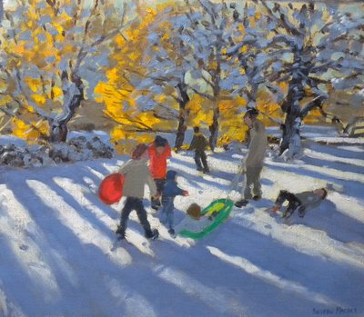 Autumn leaves and snow, Allestree park by Andrew Macara