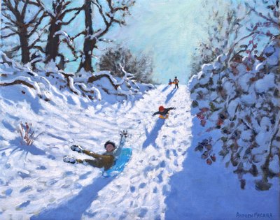 Sledging, Calke Abbey, Ticknall, Derby by Andrew Macara