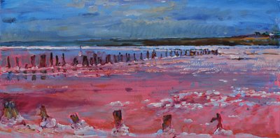 Pink Lake Reflections by Andrii Kutsachenko
