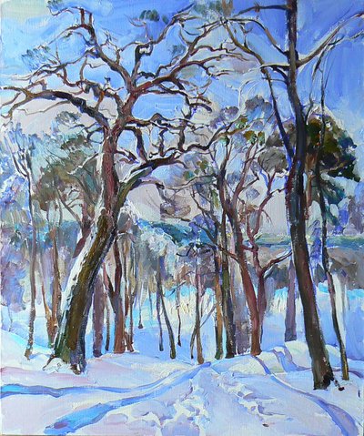 Sunny Winter Forest Path by Andrii Kutsachenko