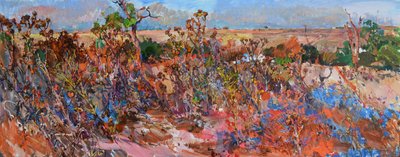 Vibrant Desert Landscape by Andrii Kutsachenko
