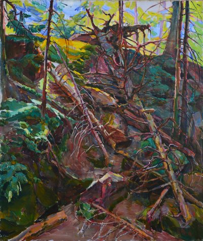 Wild Forest Light by Andrii Kutsachenko