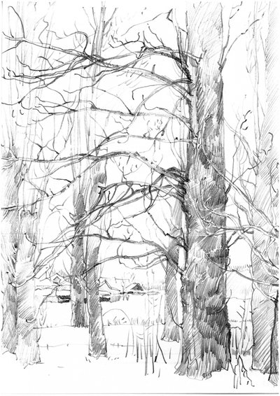 Winter Trees Sketch by Andrii Kutsachenko