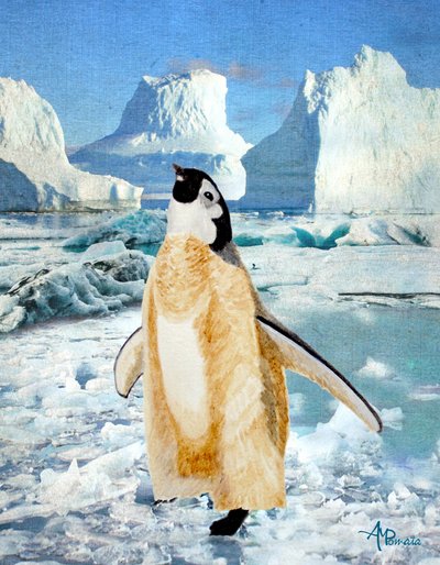 Curious Penguin Antarctic Ice by Angeles M. Pomata