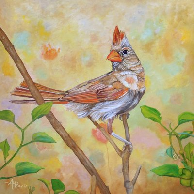 Female Cardinal Perched by Angeles M. Pomata