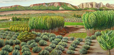 Green Valley Farmland by Angeles M. Pomata
