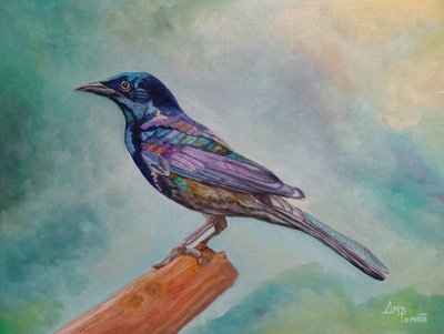 Iridescent Perched Bird by Angeles M. Pomata