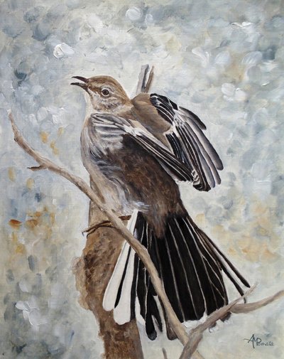 Mockingbird Spreading Wings by Angeles M. Pomata