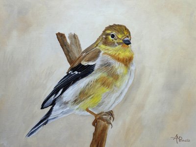 Perched Yellow Finch by Angeles M. Pomata