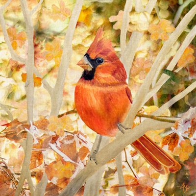 Red Cardinal Autumn Leaves by Angeles M. Pomata