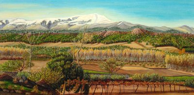 Rural Mountain Vineyard by Angeles M. Pomata