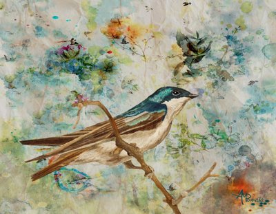 Serene Tree Swallow by Angeles M. Pomata