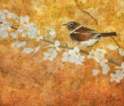 Spring Bird Blossom by Angeles M. Pomata