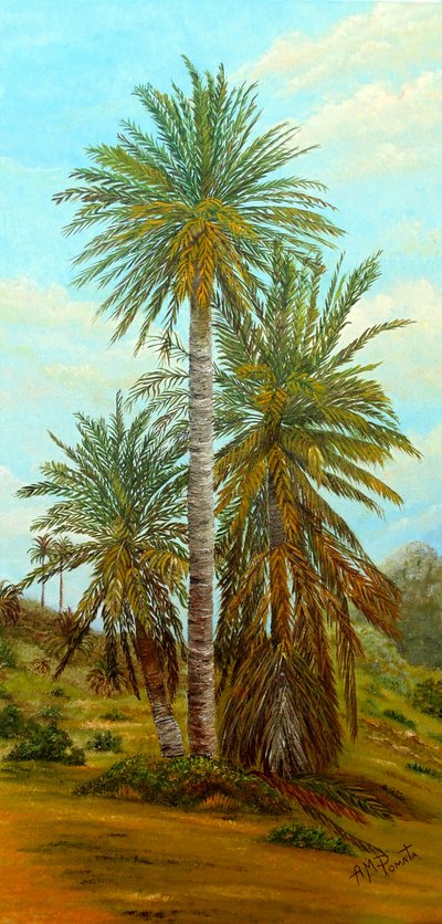 Sunny Desert Palms by Angeles M. Pomata