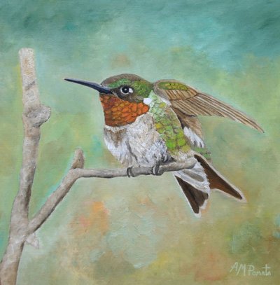 Vibrant Hummingbird Perched by Angeles M. Pomata