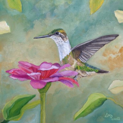 Vibrant Hummingbird Zinnia by Angeles M. Pomata