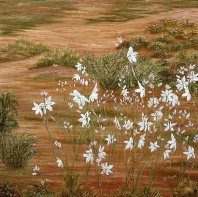 White Desert Flowers by Angeles M. Pomata