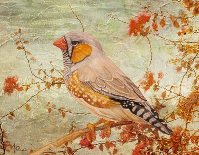 Zebra Finch on Branch by Angeles M. Pomata