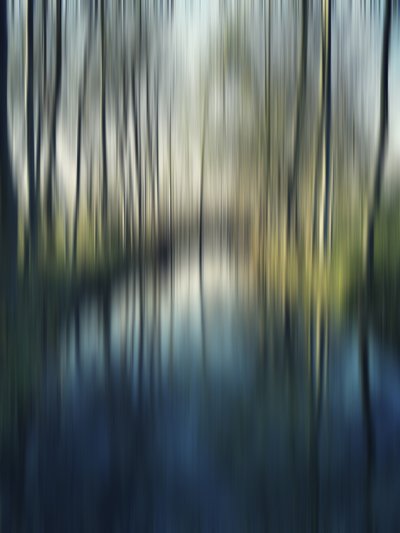 Blurred Forest Reflections by Angelo Cerantola
