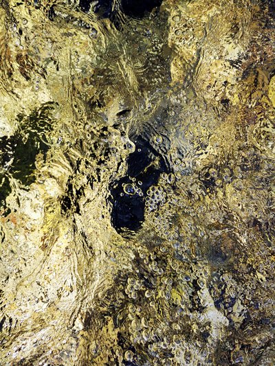 Golden Water Reflections by Angelo Cerantola