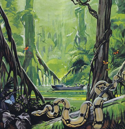 Exploring the River Amazon by Angus McBride