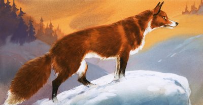 Fox in the Snow by Angus McBride