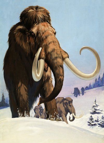 Mammoths from the Ice Age by Angus McBride