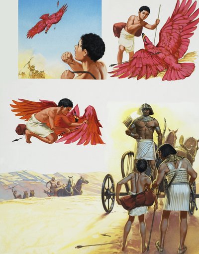 Red Bird by Angus McBride