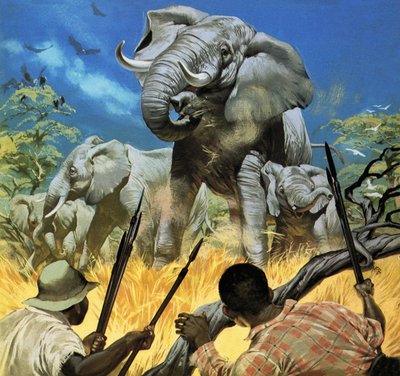 The Ivory Poachers -- Wildlife in Danger by Angus McBride