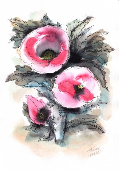 Vibrant Pink Poppies by Aniko Hencz