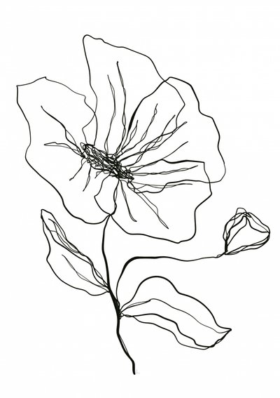 Delicate Flower Sketch by Ankie Kooi