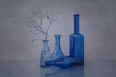 Blue Bottles and Branches by Anna Klinkosz