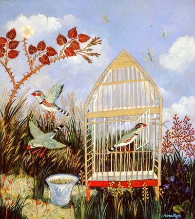 Freedom Cage by Anna Pugh