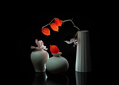 Elegant Floral Still Life by Anna Qu