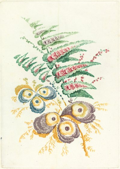 Fantastic Flowers with Oyster-shell Blossoms by Anne Allen