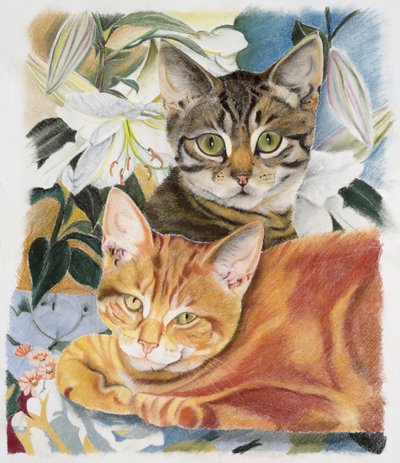 Pepper and Salt by Anne Robinson