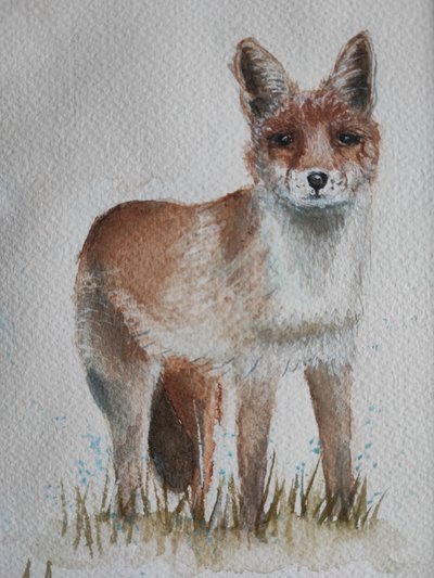 Curious Red Fox by Annette Armitage
