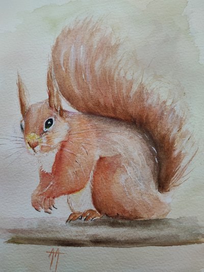 Cute Red Squirrel by Annette Armitage
