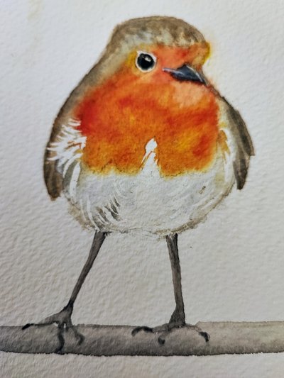 Cute Watercolor Robin by Annette Armitage