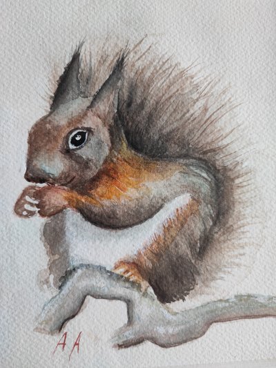 Watercolor Forest Squirrel by Annette Armitage