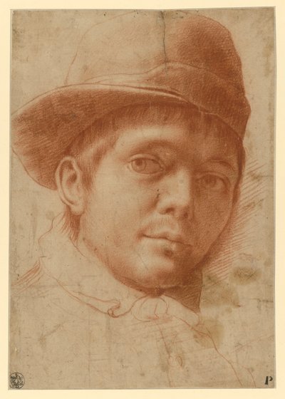Portrait of a Young Man with Cap by Annibale Carracci