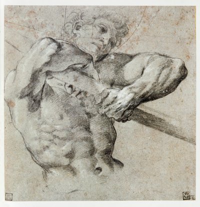 Study of a Male Figure by Annibale Carracci