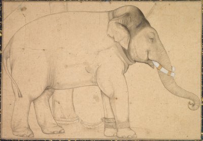 Drawing of an Elephant by Anonym