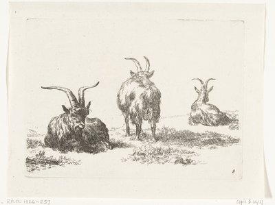 Three Goats by Anonymous