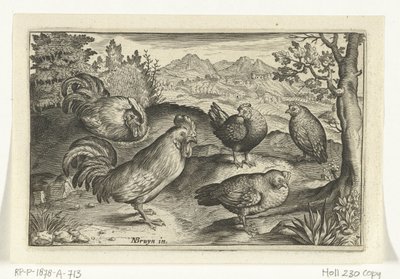Three Hens and Two Roosters (Birds and Insects series) by Anonymous