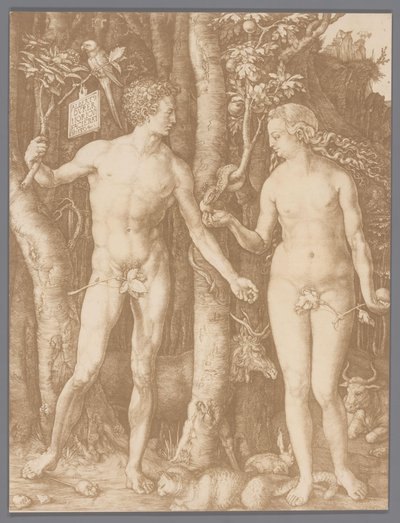 Photo Reproduction of the Engraving Adam and Eve by Albrecht Dürer by Anonymous