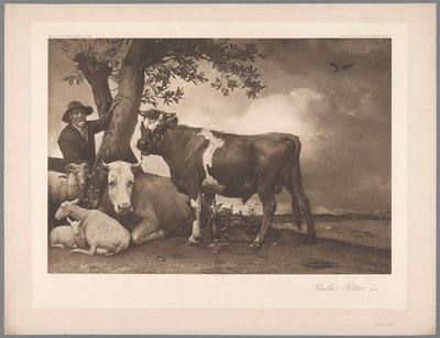 Photoreproduction of the painting The Bull by Paulus Potter, coll. Mauritshuis by Anonymous