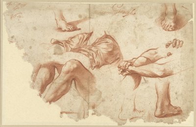 Fragment of Study Sheet with Arms, Legs, Feet by Anonymous